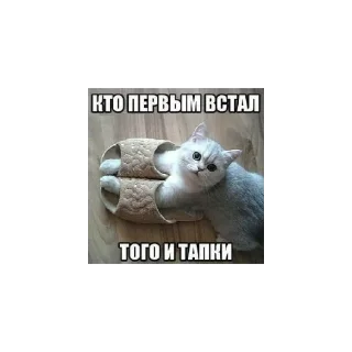 Стикер Mem - 5