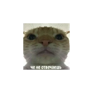 Стикер Mem - 0