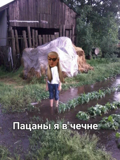 Sticker MemAemond - 1