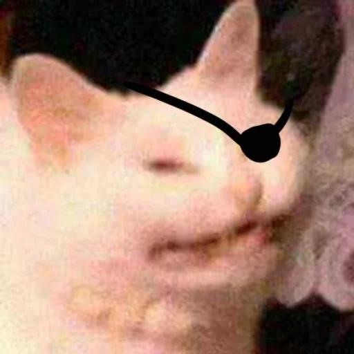 Стикер MemAemond - 1