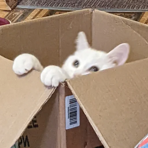 Стикер MemKisy - 1