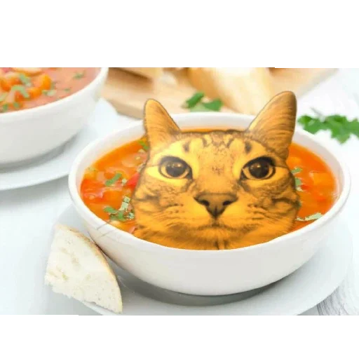 Sticker MemKotejko - 1