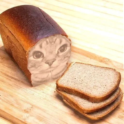 Sticker MemKotejko - 1