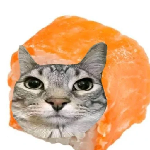 Sticker MemKotejko - 1