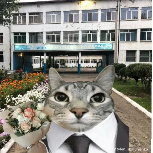 Sticker MemKotejko - 1