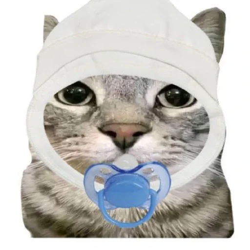 Sticker MemKotejko - 1