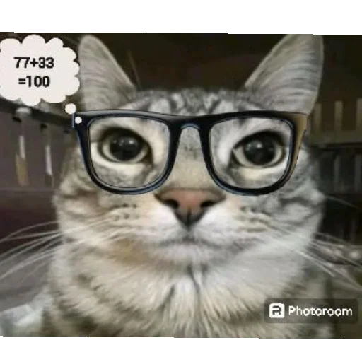 мем котейко - 