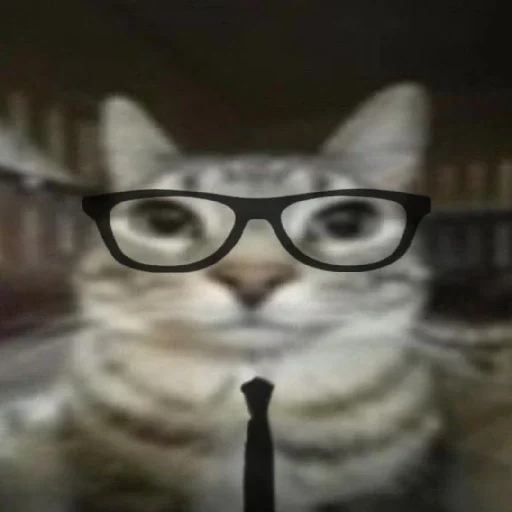 Sticker MemKotejko - 1