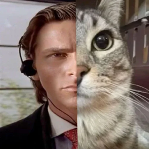 Sticker MemKotejko - 1