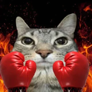 Sticker мем котейко - 10