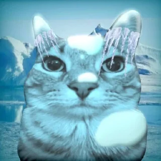 Sticker мем котейко - 4