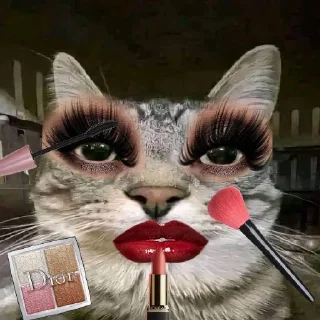 Sticker мем котейко - 5