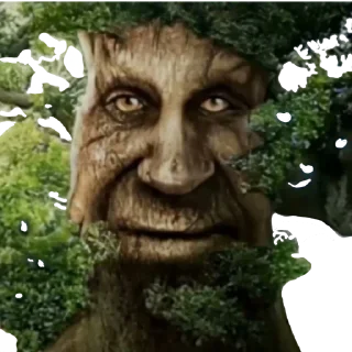 Sticker Мемы на все случаи жизни - 8