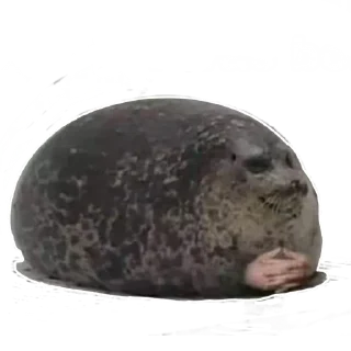 Sticker Мемы на все случаи жизни - 1