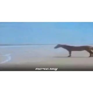 Sticker Мемы на все случаи жизни - 5