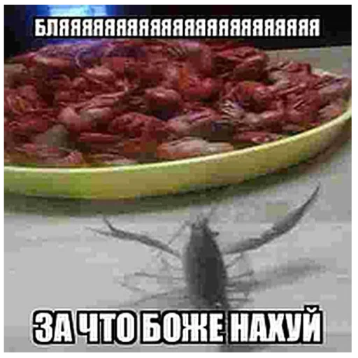 Стикер MemRadfem - 1