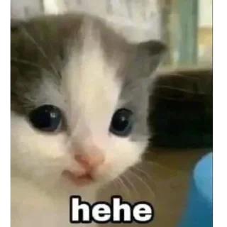 Sticker Мемы от ★Твик Твика★ - 5