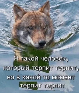 Sticker Memes_lol - 10