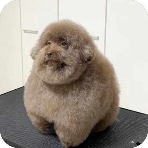 Sticker Memasiki6456 - 1