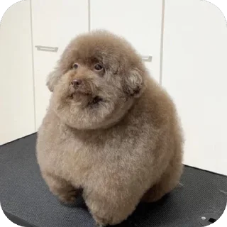 Стикер Мемасики - 11