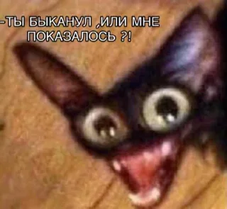 Sticker Мемы-Кристишки - 3