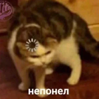 Sticker Мемы-Кристишки - 7