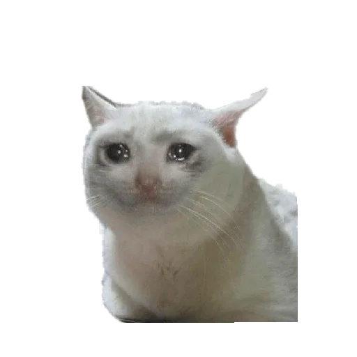 Стикер Memasiki_50 - 1