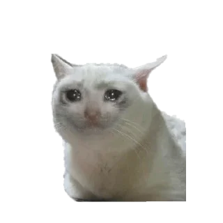 Стикер Мемасики 5.0 - 3