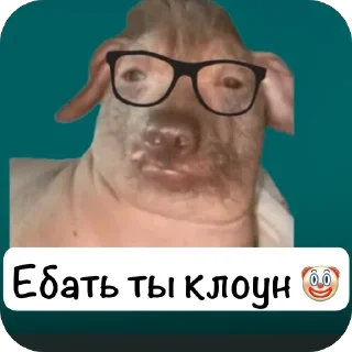 Sticker Мемасы - 6