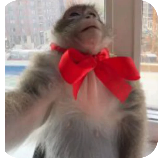 Мемасы оо🪧🪧 - 