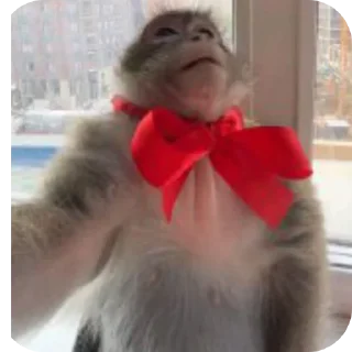 Стикер Мемасы оо🪧🪧 - 8