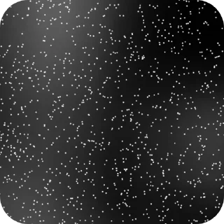 Стикер Мемасы оо🪧🪧 - 3