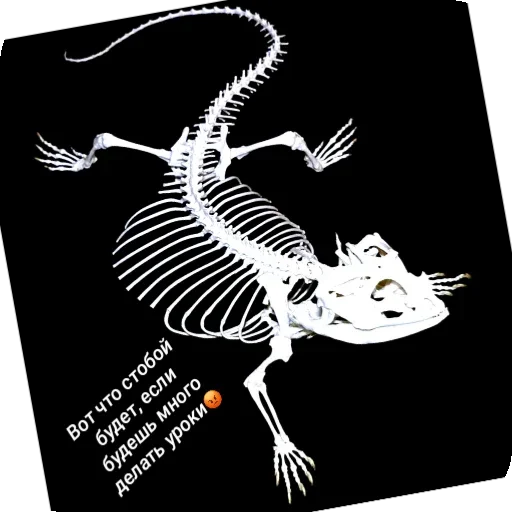 Мемчики от школы 77 - 