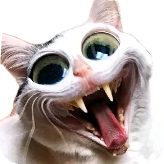 Sticker Мемчики от школы 77 - 5