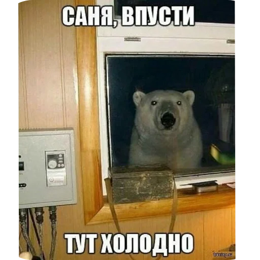 Sticker Memchiks736 - 1