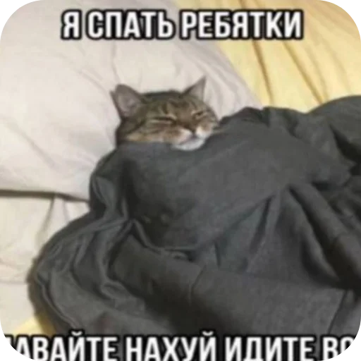 Sticker Memchiks736 - 1