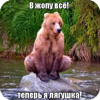 Sticker Мемчикс - 10