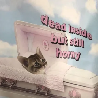 Sticker мемны коты - 7