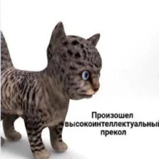 Sticker мемны коты - 10