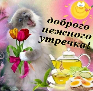 Sticker одноклассники;; @kkulbeol01 - 0