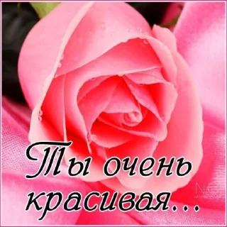 Sticker одноклассники;; @kkulbeol01 - 5