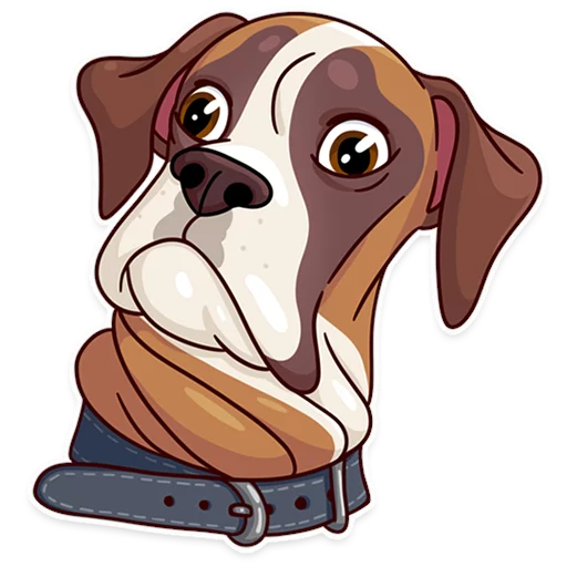 dog animal dog breed