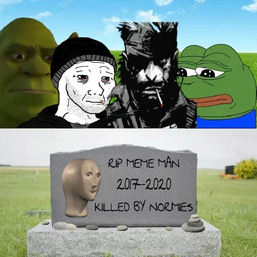 СМС трава небо