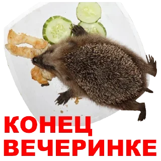 Стикер Hamster @stickersb2b - 6