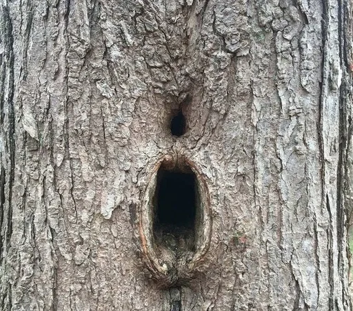 Стикер Мєми Чумайданівки :: @fStikBot - 9