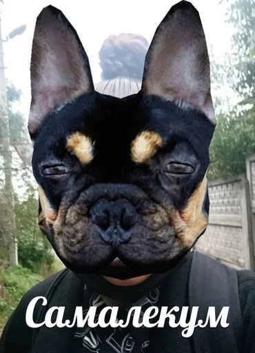 Стикер Мєми Чумайданівки :: @fStikBot - 6