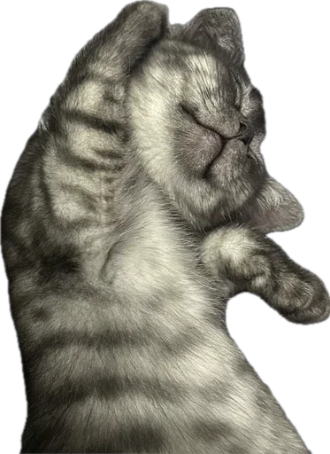 Sticker Mememessme - 1