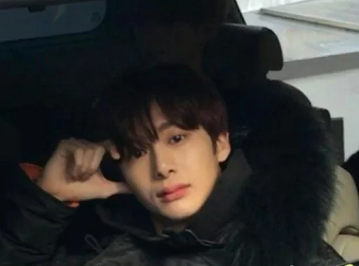 Человек человеческое лицо комнатный