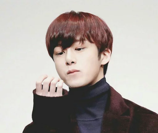 Человек одежда человеческое лицо