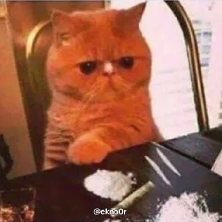 Sticker Мемнве - @Tg_stickersu - 4